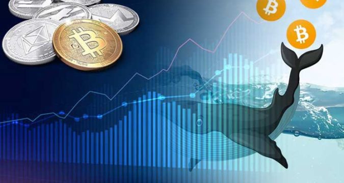 0_rhxIyRgBnIK3qQv9 | Trading Online Recensioni